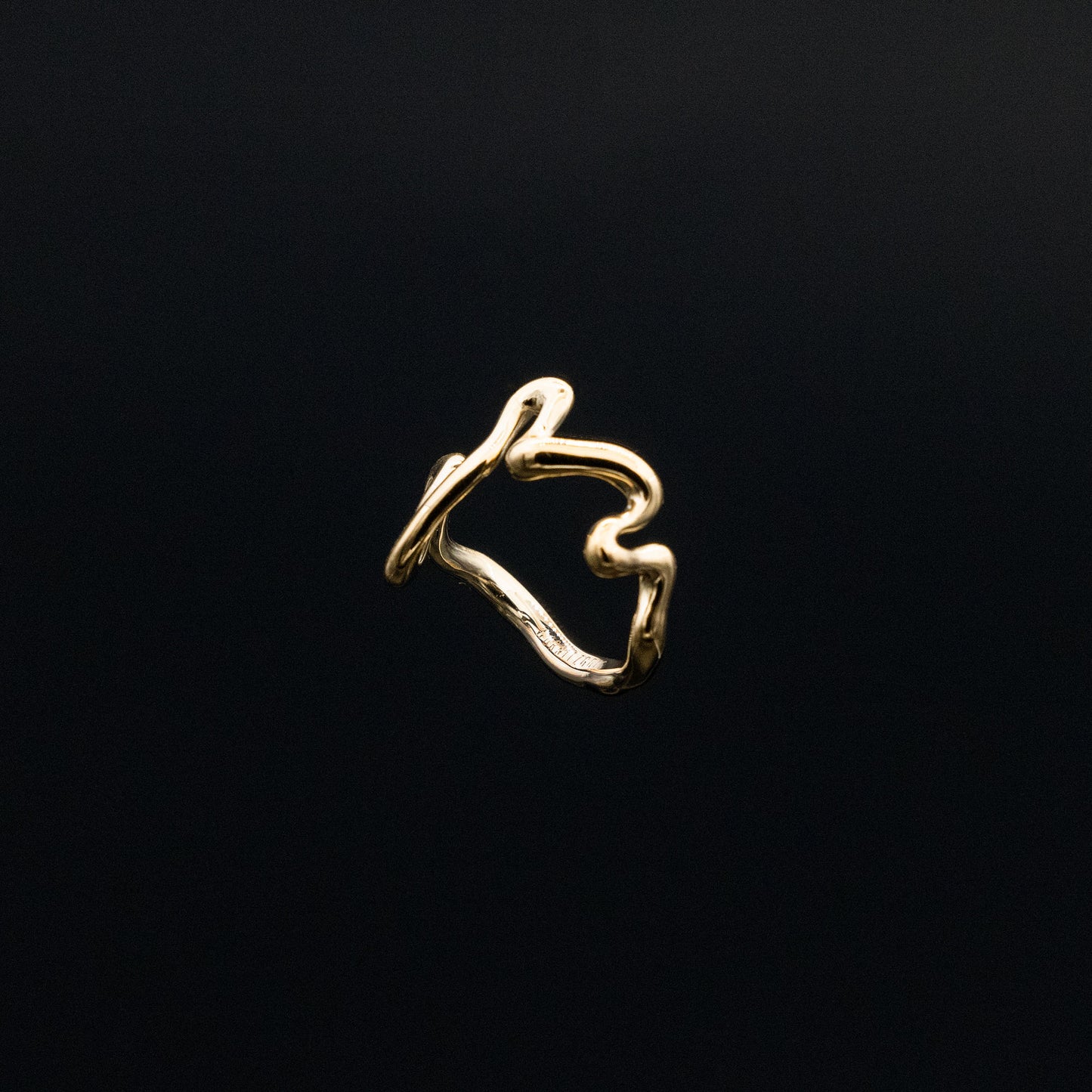 DER RING „Lieblingskurven“