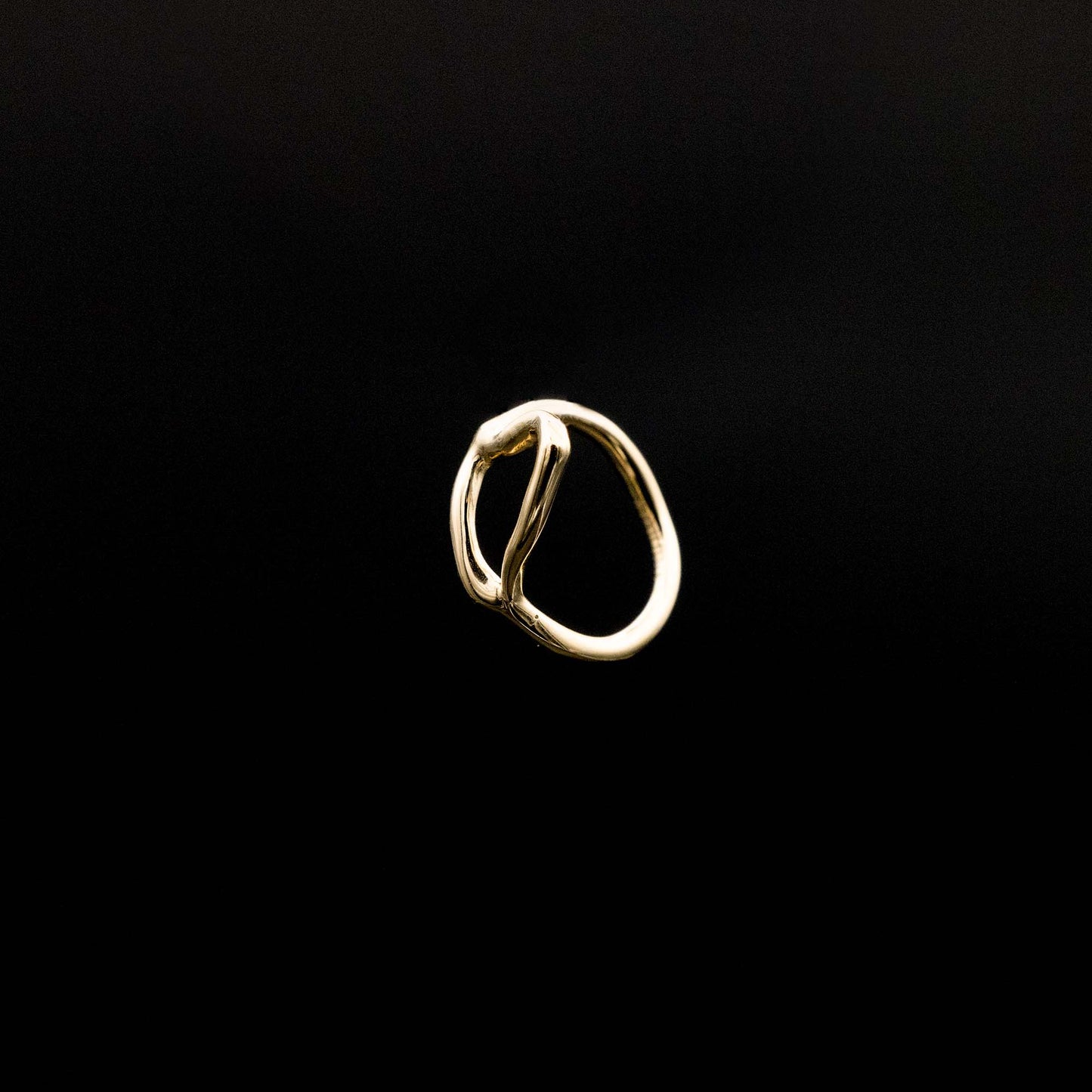 DER RING „Wörnitzinsel“