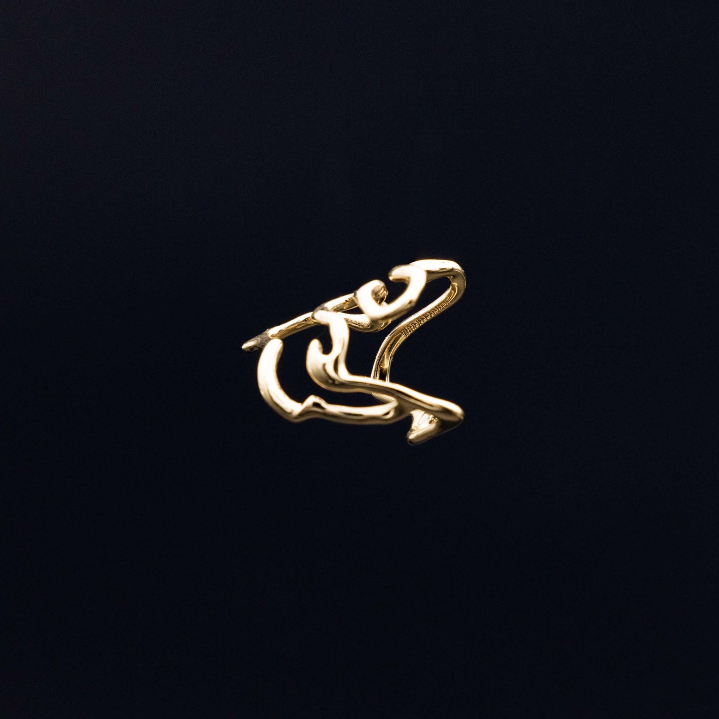 DER RING „Südwindungen“