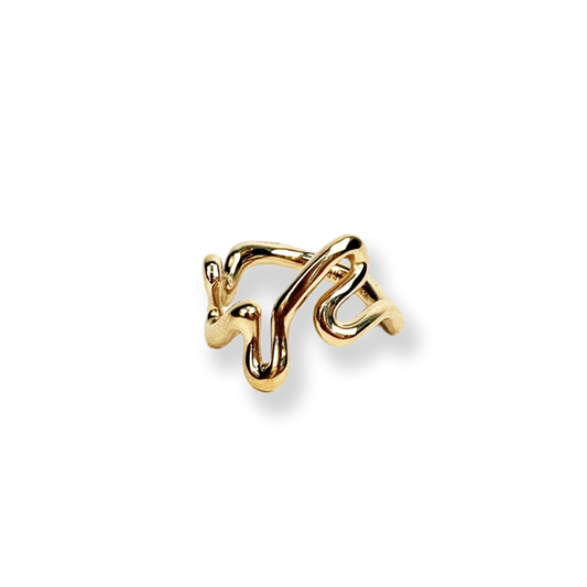 DER RING „Lieblingskurven“