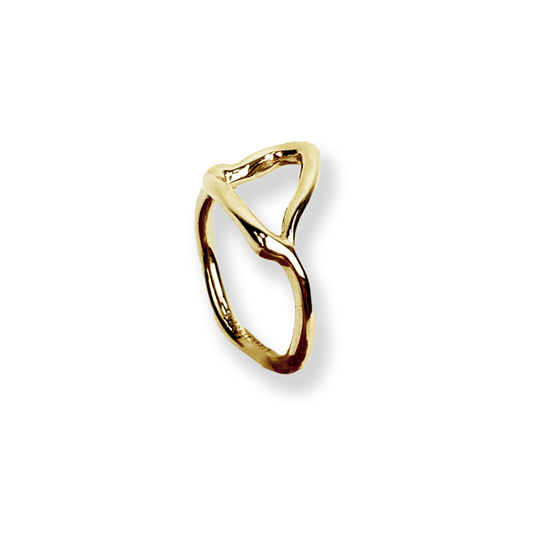 DER RING „Wörnitzinsel“